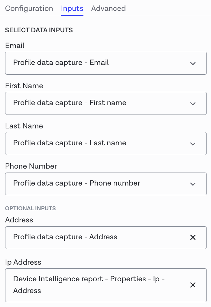 Custom input fields