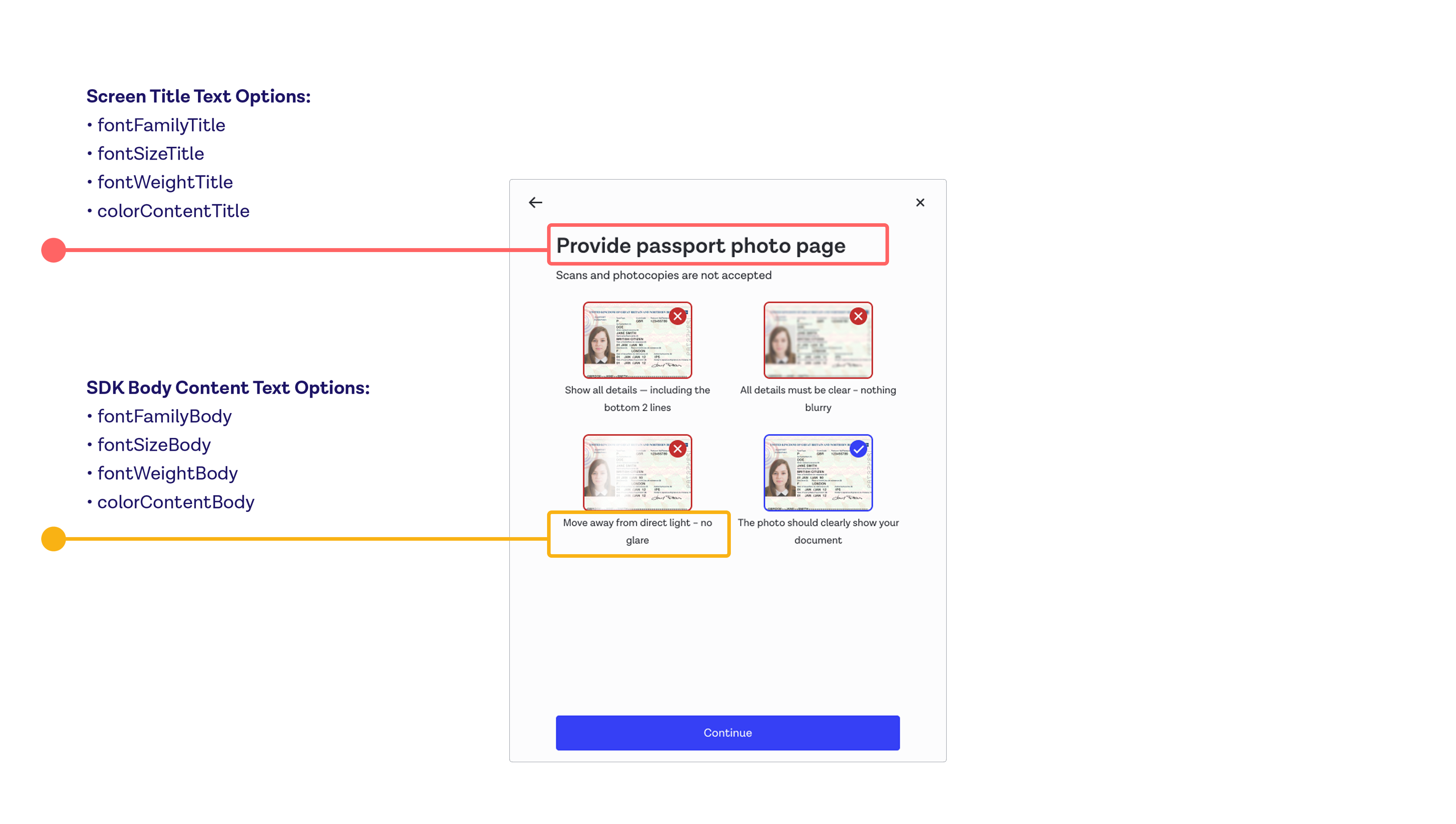 Web SDK customisation